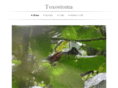 toxostoma.com