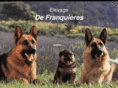 franquieres-berger-allemand.com
