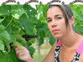 haut-fongrive.com