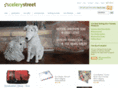 celerystreet.com