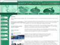 bumpercars.org