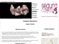 seguracalcats.com