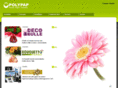 polypap.fr