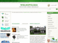 wielkopolska-turystyka.pl