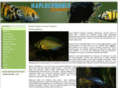 haplochromis.pl