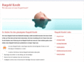 bargeld-kredit.net