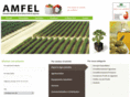 amfel.com
