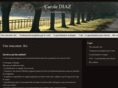 carolediaz.com