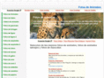 fotos-de-animales.com.ar