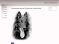 fazerinan.net