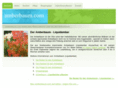 amberbaum.com