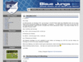 blauejungs.com