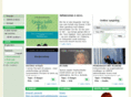 videnszonen.com