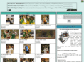 handballphotos.com
