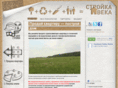 stroykaveka.net