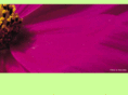 tkpadmin.com