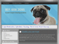 accentcarpetcleaningsystems.com