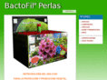 bactofilperlas.com