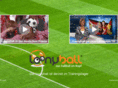 loonyball.com
