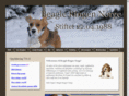 beagleringen.com