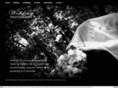 iowa-wedding-photographer.com