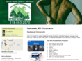nashwaukchiropractic.com