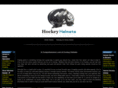 hockeyhelmets.org