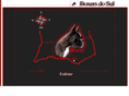 boxersdosul.com