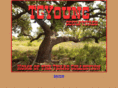 tgyoungsculptures.com
