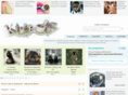 kibergrad.com