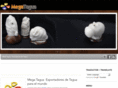 megatagua.com