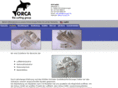 pfm-gmbh.com