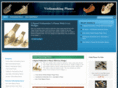 violinmaking-planes.com