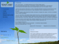 region-audit.ru