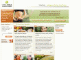 vidavida.es