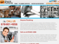 smyrna-plumbing.net