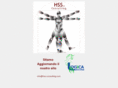 hss-consulting.com