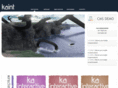 kaint.net
