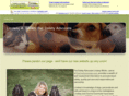 petsafetyadvocate.com
