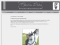 pferd-im-fokus.com