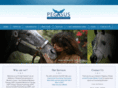 pegasusect.com