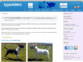toysoldiersbt.com