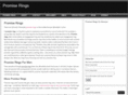 promiseringsguide.com