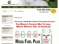 megafuelplus.com
