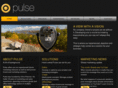 ineedpulse.com