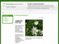 friskvernkonsulenten.net