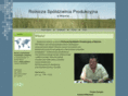 rspwojcin.com