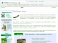 graines-ladybirdseeds.com
