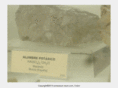 potassium-alum.com