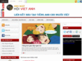 anhnguvietanh.com